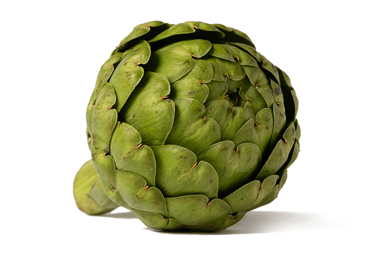 Artichokes are a variety of a species of thistle cultivated as a food. The edible portion consists of the flower buds before the flowers bloom. Our artichokes are hand-trimmed and picked to maintain a uniform shape.  We offer grilled and marinated for you