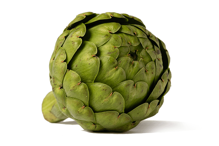 Artichokes are a variety of a species of thistle cultivated as a food. The edible portion consists of the flower buds before the flowers bloom. Our artichokes are hand-trimmed and picked to maintain a uniform shape. We offer grilled and marinated for you