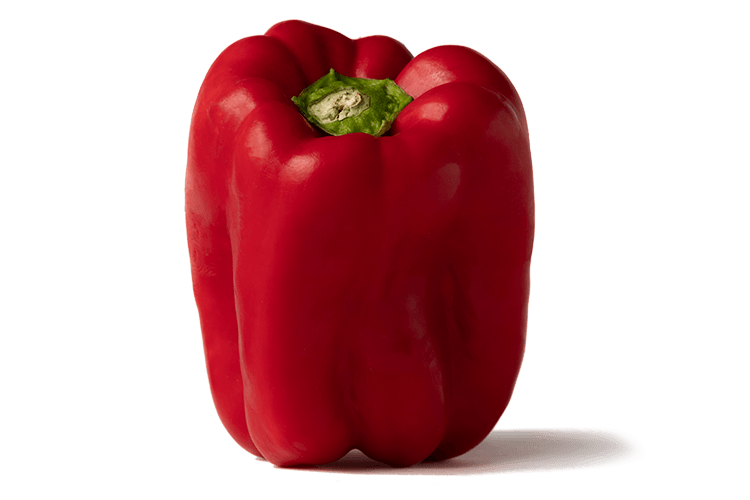 Red Bell Pepper