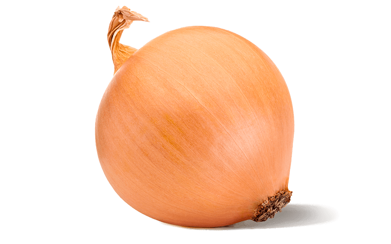 Yellow onion