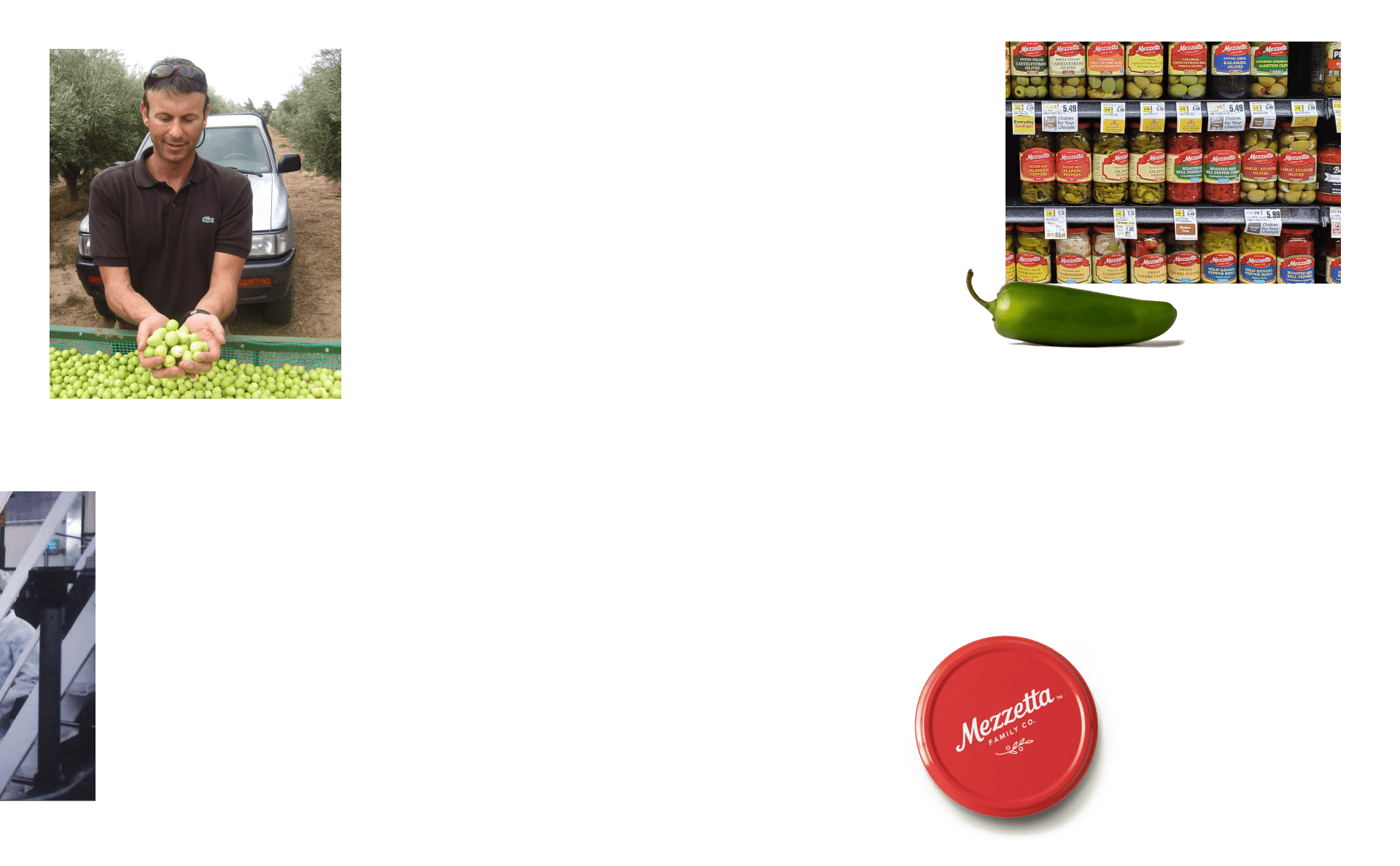 G L Mezzetta Inc fleet